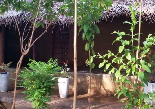 Mereiyans Villa Eco Cottage