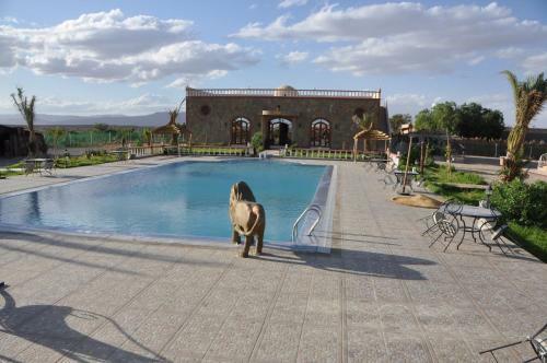 Agroturismo Salma Palm's Ferme D'h�tes