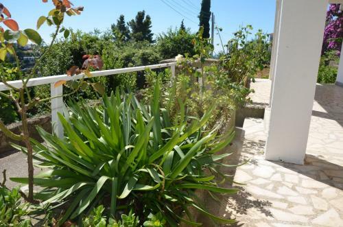 Apartment Dragovic