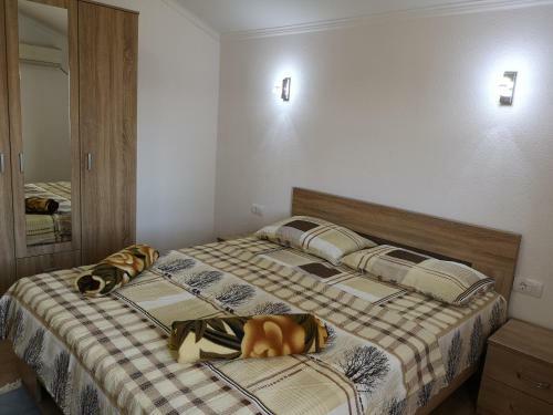 Hostal Berin Apartments