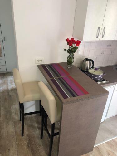 Apartmani Pogled