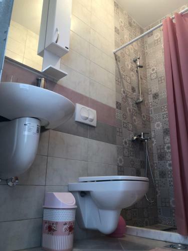 Apartmani Pogled