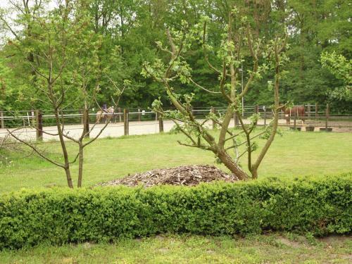 Lovely Child-friendly Apartment In Rutten