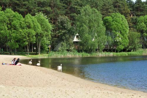Apartamento Osir Wawrzkowizna