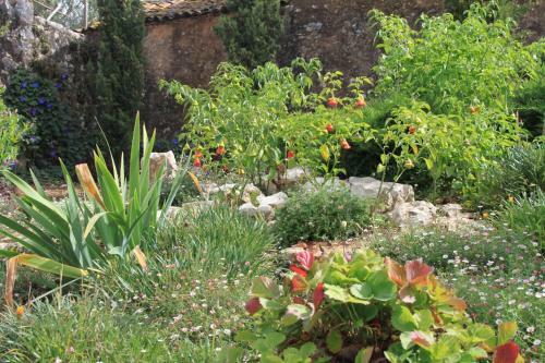 Quinta De S�o Jo�o