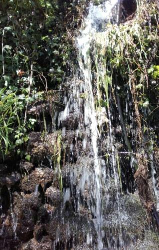 Agroturismo Quinta Das Colmeias