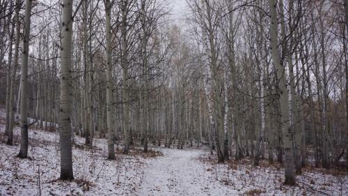 Apartment Glts Bannoye Lake