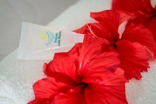 Hostal Pousada Le�o Marinho