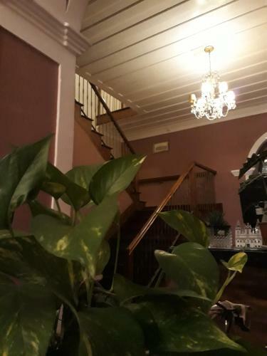 Hotel Portas Da Amaz�nia Bel�m
