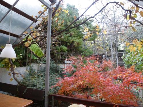 Holiday Home Zolotoy Klyuchik
