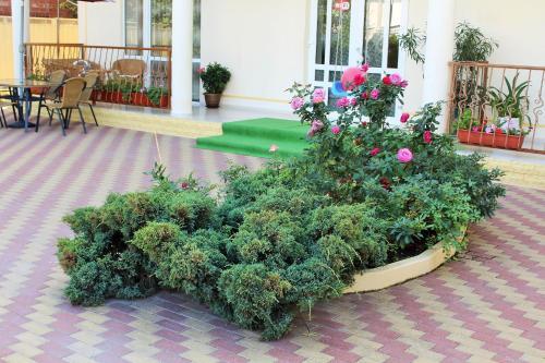 Hostal Guesthouse Dubrava