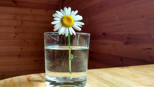 Motel Guest House Na Beregova