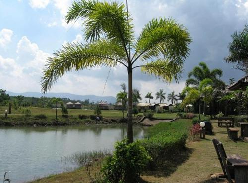 Busai Country View