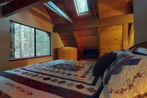 Pine Paradise