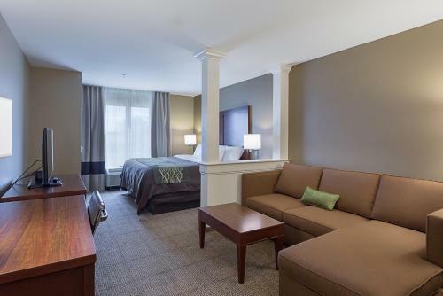 Hotel Comfort Inn & Suites Zachary