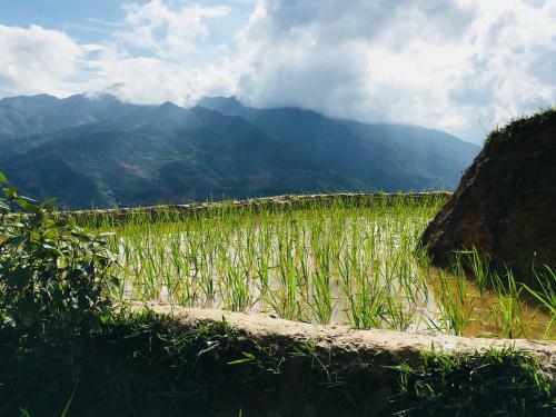 Lodge Hello Mu Cang Chai Homestay