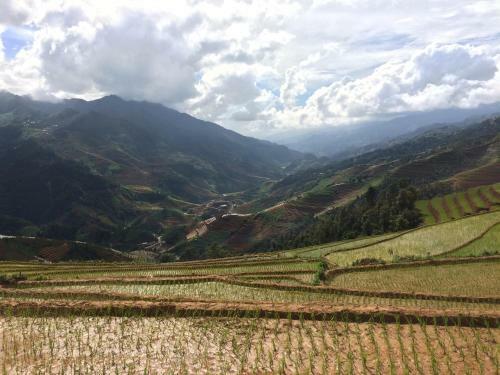 Lodge Hello Mu Cang Chai Homestay