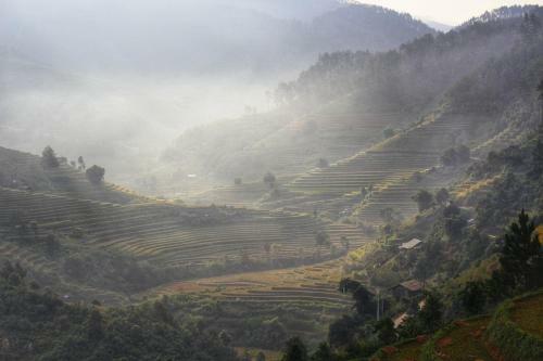 Lodge Hello Mu Cang Chai Homestay