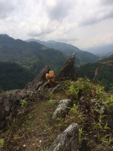 Lodge Hello Mu Cang Chai Homestay