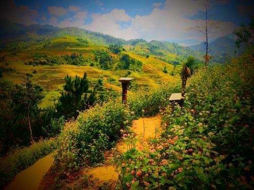 Lodge Hello Mu Cang Chai Homestay
