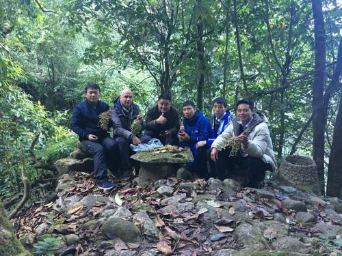 Lodge Hello Mu Cang Chai Homestay