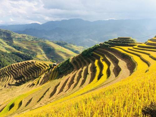 Lodge Hello Mu Cang Chai Homestay