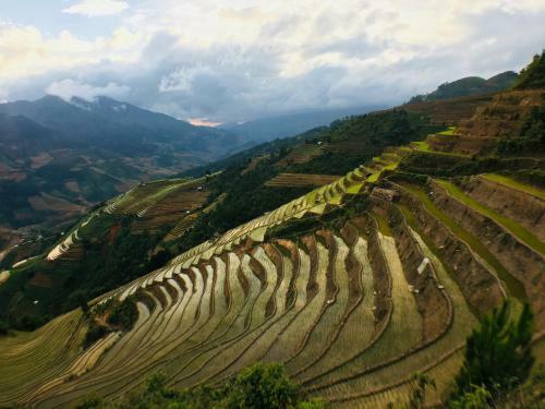 Lodge Hello Mu Cang Chai Homestay