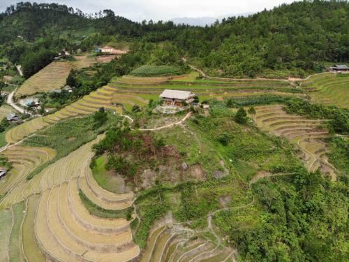 Lodge Hello Mu Cang Chai Homestay