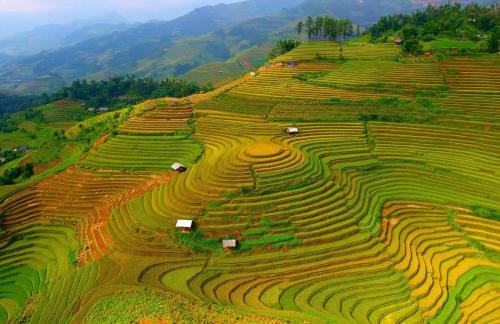 Lodge Hello Mu Cang Chai Homestay