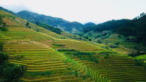 Lodge Hello Mu Cang Chai Homestay