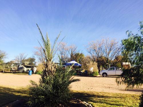 Hostal Kalahari Camelthorn Camping And B&B