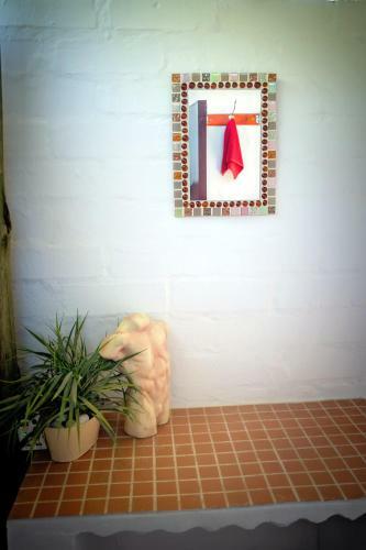 Hostal Kalahari Camelthorn Camping And B&B