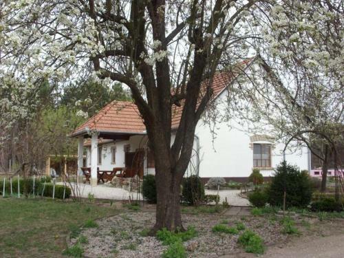 Apartamento Cinege Vend�gh�z