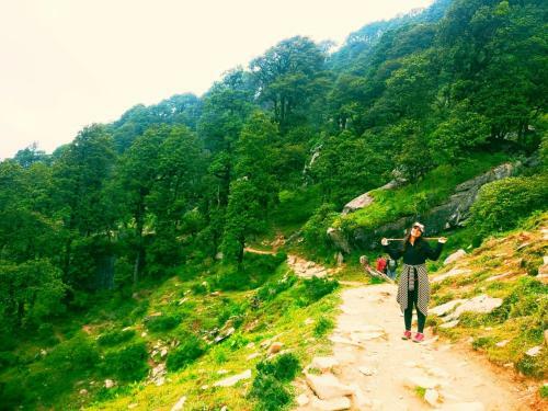 Hotel Carnoustie Himalayan Eco Resort