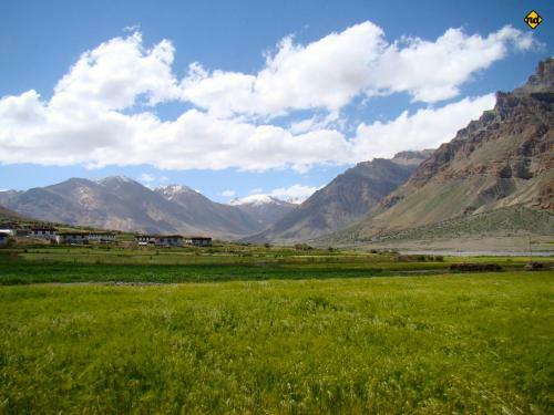 The Nomad's Cottage-losar Spiti Valley