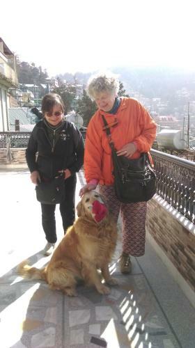 Bed & Breakfast The Thistle Lodge