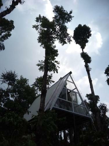 Villa Pravat Plantation Stay