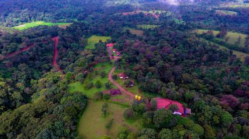 Aadhavana Homestay - Sakleshpur
