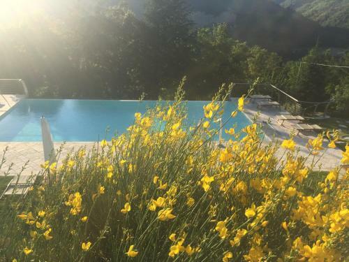 Agroturismo Agriturismo Corte Dei Mori