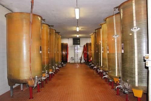 Agroturismo Wine Dreams Holiday Home