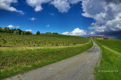 Agroturismo Wine Dreams Holiday Home