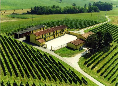 Agroturismo Wine Dreams Holiday Home