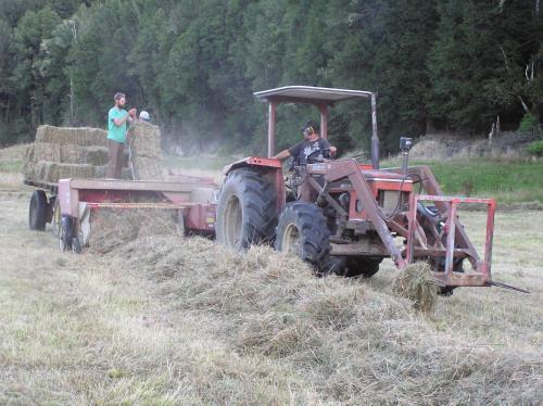 Ahaura Lodge & Waterwheel Farm