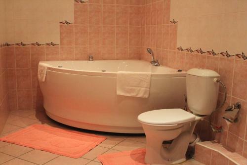 Hotel Alfa