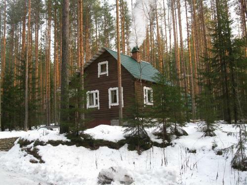 Hostal Hirvi Lodge