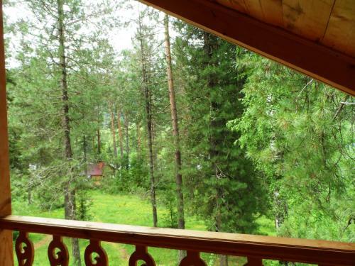 Biya Zapovednaya Holiday Park