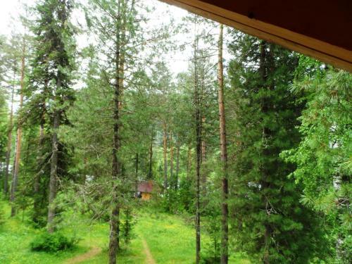 Biya Zapovednaya Holiday Park