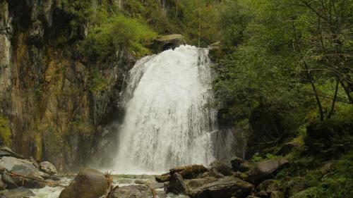 Biya Zapovednaya Holiday Park
