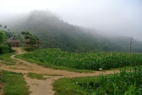 Ban Hieu Garden Lodge