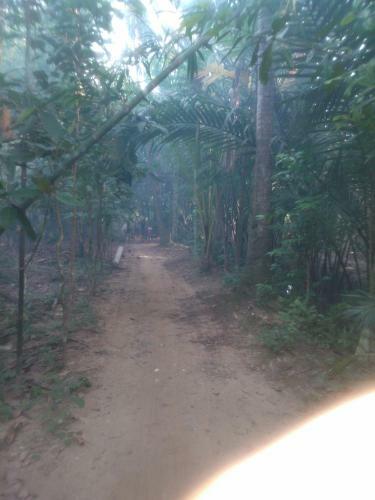 Suonsia Homestay
